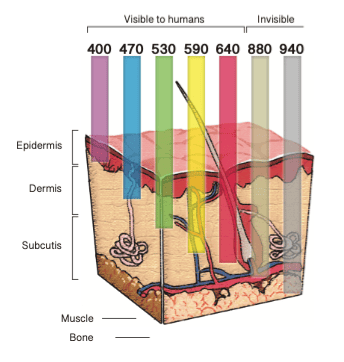 Tulsa red light for recovery